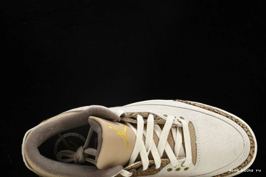 Retro Jordan  CT8532-102 CT8532-102 Palomino  3 0401